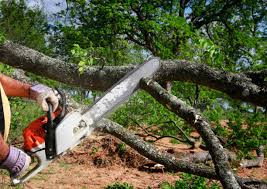 Best Firewood Processing and Delivery  in Superior, NE